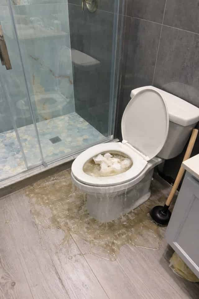 Clogged toilet overflowing in bathroom.