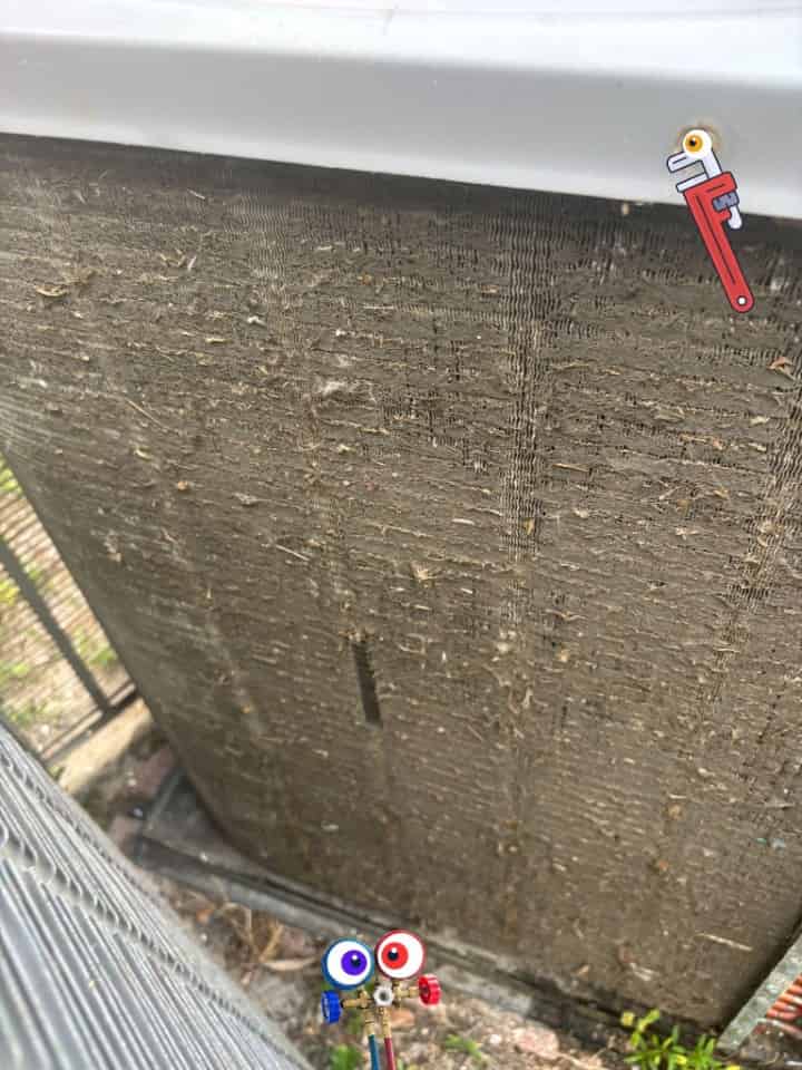 Diry coils in a South Florida AC System.